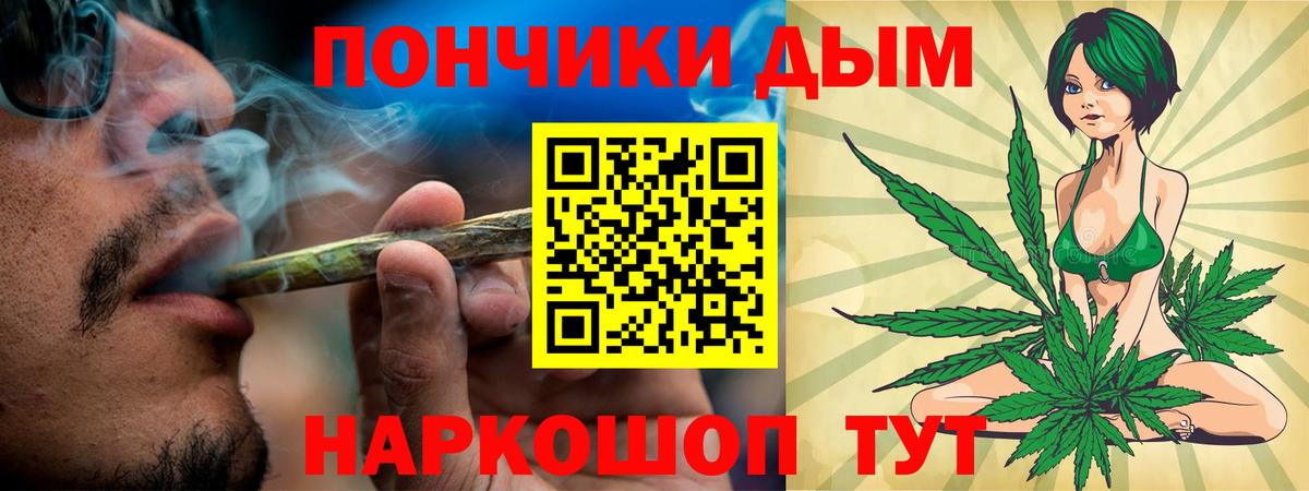 Осинники  Канабис планчик  МАРИХУАНА индика  Вход с VPN  Каннабис конопля  Марихуана тримм 